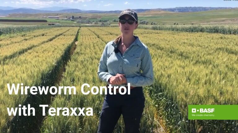 Understanding the Impact of Reddy Anna ID and the Reddy Book Club on Modern Education and Community Development